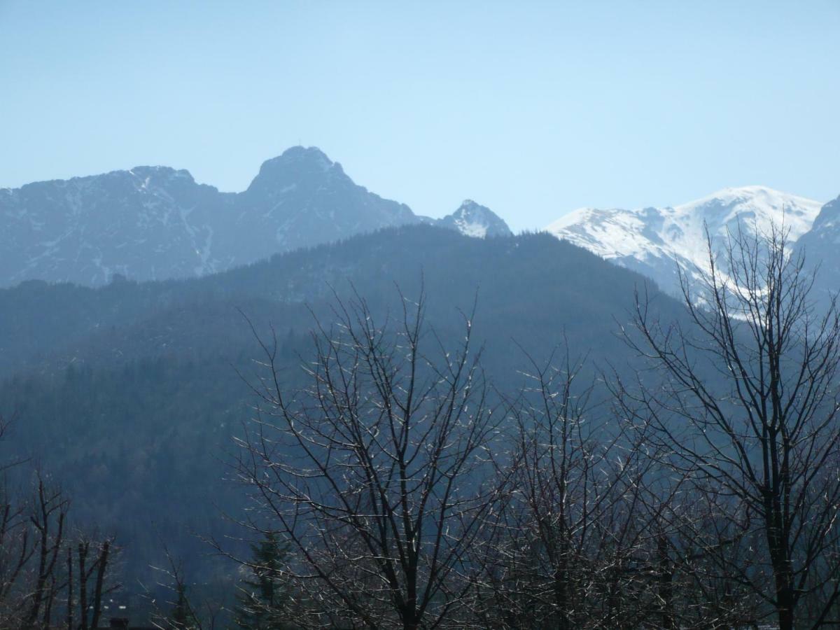 Pokoje Goscinne W Gorach Kościelisko Εξωτερικό φωτογραφία