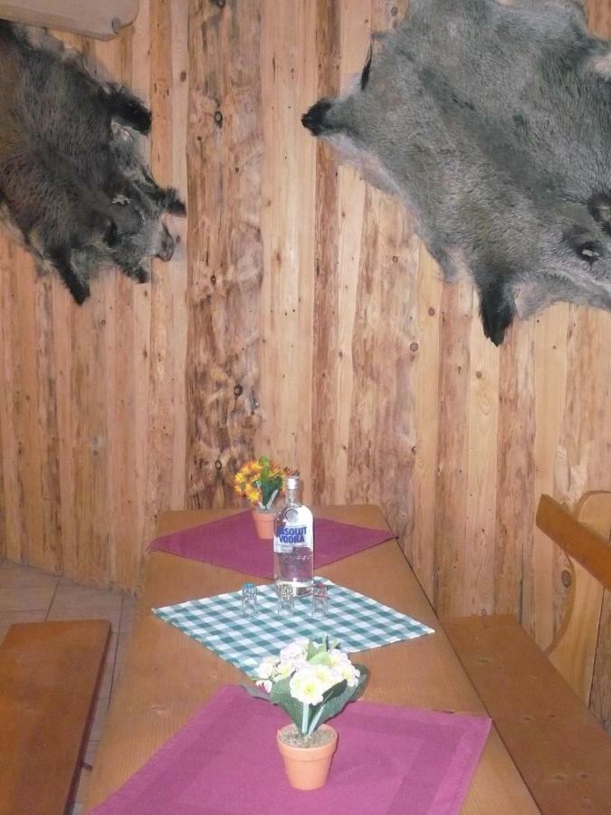 Pokoje Goscinne W Gorach Kościelisko Εξωτερικό φωτογραφία